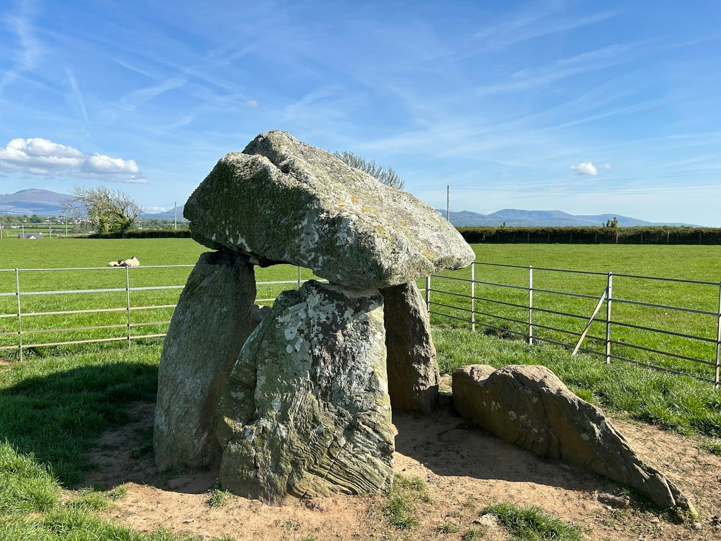 The Capture of Alfhild: A Nordic Saga